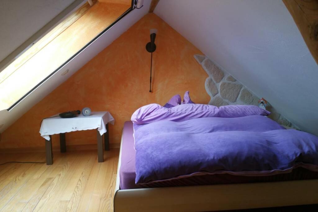 Ferienwohnung Roswitha In Blieskastel Biesingen Esterno foto