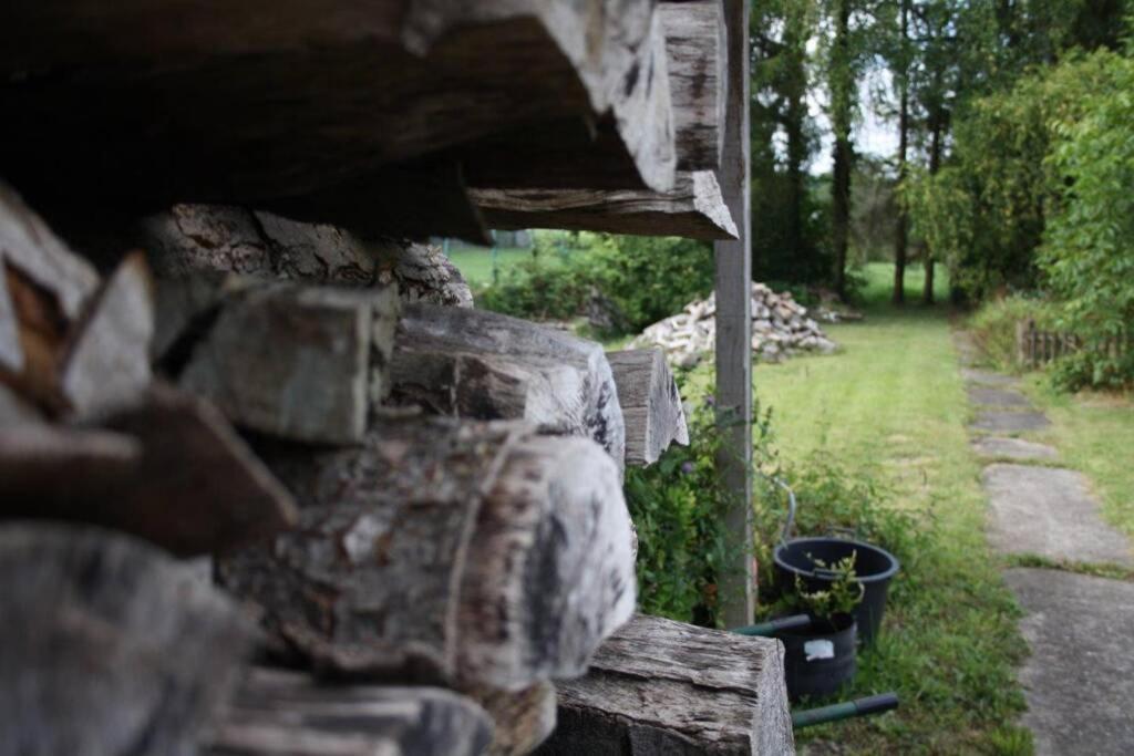 Ferienwohnung Roswitha In Blieskastel Biesingen Esterno foto